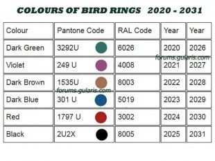 COLOURS-OF-BIRD-RINGS-2020-2031.jpg