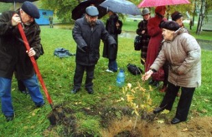 Антонина Александровна и литераторы города высаживают дубок на месте дома Никоновых, 2006 год.