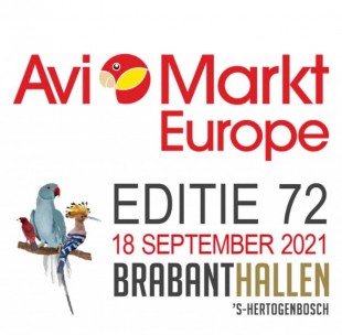 AviMarkt.jpg