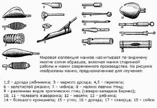 манки-2.jpg