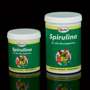 spirulina-3.jpg