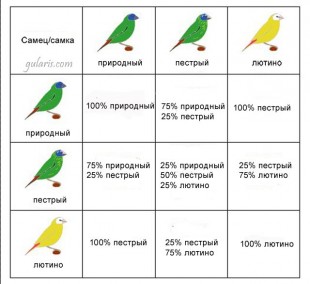 тпа-табл.jpg