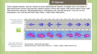 так будет выглядеть слайд с общим описанием песни и примерами