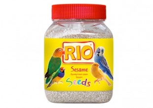 Sesame-Seed2.jpg