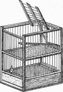 Thomas-Co-s-Double-Cage-Trap.jpg