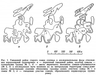 Ris.-1-3.jpg