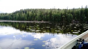 финское озеро.jpg