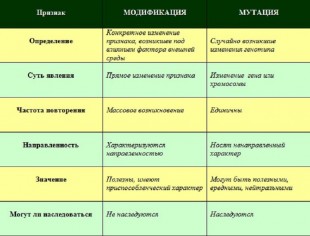 Признаки модификации и мутации<br />© Иванова И. А.