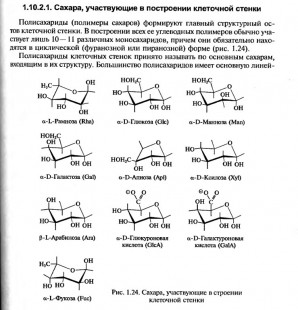 Gularis.com от Андрея Петрова