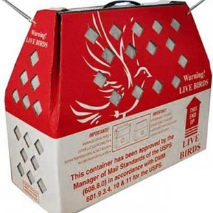 USPS-Live-Bird-Shipping-Box.jpg