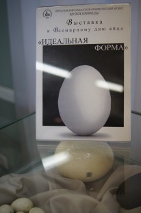 Выставка яиц <br />&quot;Идеальная форма&quot;