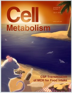 GEEL METABOLISM.jpg