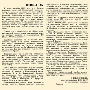 Птицы-87.jpg