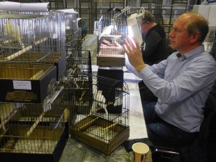 49521042_1973820555986987_3527658297509281792_o.jpg (442.83 КБ) 33553 просмотра ZWOLLE 2019<br />© Bart Braam