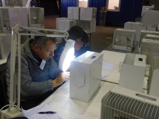 49619826_1973820539320322_1229737973948350464_o.jpg (346.98 КБ) 25571 просмотр ZWOLLE 2019<br />© Bart Braam