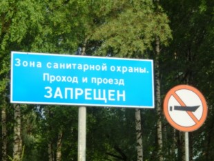 -25.jpg