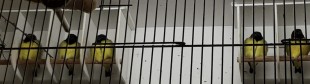 0A69B021-A7CB-418D-93C5-DC0BB65EE880.jpeg