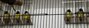 5A6D0FA4-77D0-4DAE-B402-AE29CE024968.jpeg