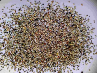 DSC_1474-ЛуговоеРазнотр.jpg (575.68 КБ) 116929 просмотров Луговое разнотравье - семена