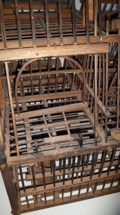 Vangkooitje 2.jpg (208.69 КБ) 32144 просмотра Vangkooitje