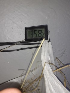 20240717_171432.jpg