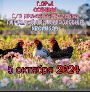 OaCEfBfmyoQ0IJ0xWs-RIP26QnmH5YrM2KSdsP6KpjzJDr3khhvnbVkhc59_5fqE90ZbD6VRg9SJmMMcJWCzsTJK_compress21.jpg