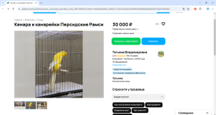Рамси.png