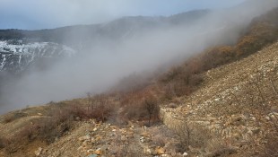 IMG-20250102-WA0030.jpg