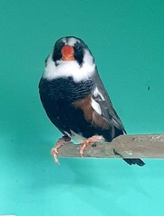 20250127_175112.jpg