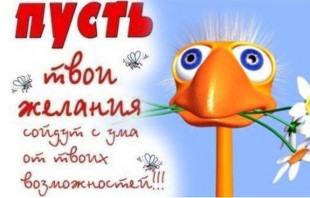 46c7b3020cdb.jpg