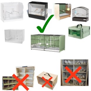 © Animal Wroclove 2026