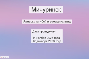 Анонс.png