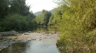 CIMG0014.JPG