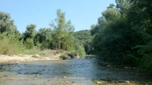 CIMG0060.JPG