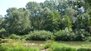 CIMG0106.JPG