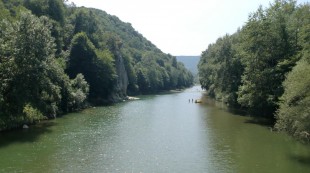 CIMG0135.JPG