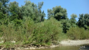 CIMG0058.JPG