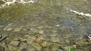 CIMG0090.JPG