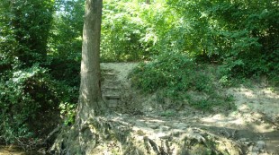 CIMG0006.JPG