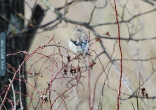 IMG_5729.JPG