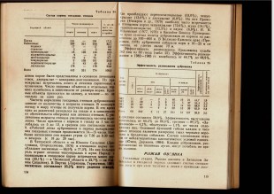 Document_6.jpg