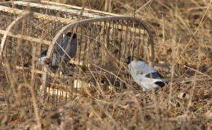 ZOO_6767.jpg