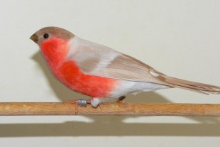 P1400052.JPG (79.47 КБ) 95933 просмотра P1400052.JPG