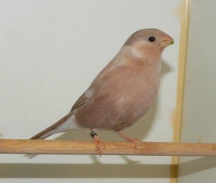 P1400062.JPG (46.06 КБ) 95933 просмотра P1400062.JPG