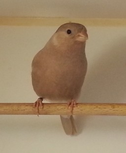 20140302_111128.jpg (188.04 КБ) 95933 просмотра 20140302_111128.jpg