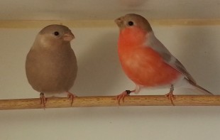 20140302_111313.jpg (278.63 КБ) 95933 просмотра 20140302_111313.jpg