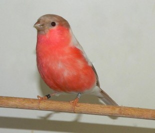 P1400067.JPG (50.12 КБ) 95923 просмотра P1400067.JPG