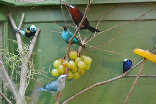 10489772_771573349585802_5339760696405468632_n.jpg (94.11 КБ) 21477 просмотров "Мужское общежитие"