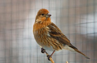 ZOO_7178.jpg