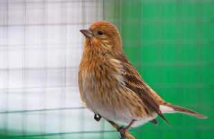 ZOO_7184.jpg